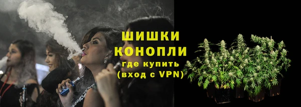 ГАЛЛЮЦИНОГЕННЫЕ ГРИБЫ Нягань