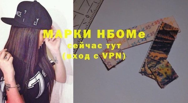 гидра Новозыбков