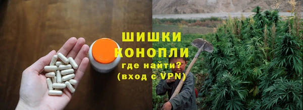 прущие грибы Нязепетровск