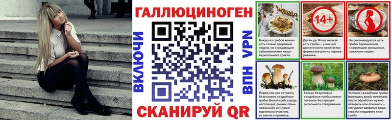 Псилоцибиновые грибы Psilocybe  наркотики  гидра tor  Тосно 