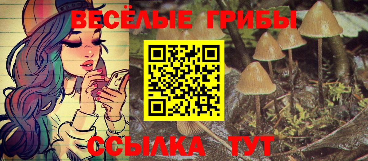 Галлюциногенные грибы MAGIC MUSHROOMS  Тосно 