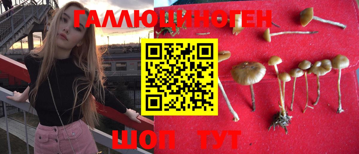 Галлюциногенные грибы ЛСД  Вход с VPN  Тосно  Галлюциногенные грибы прущие грибы 