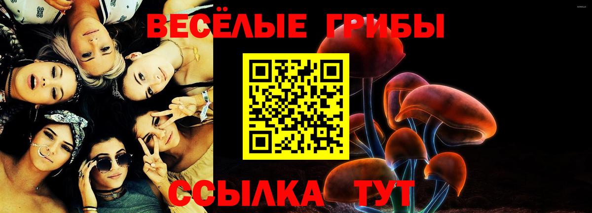 Псилоцибиновые грибы Psilocybe Тосно